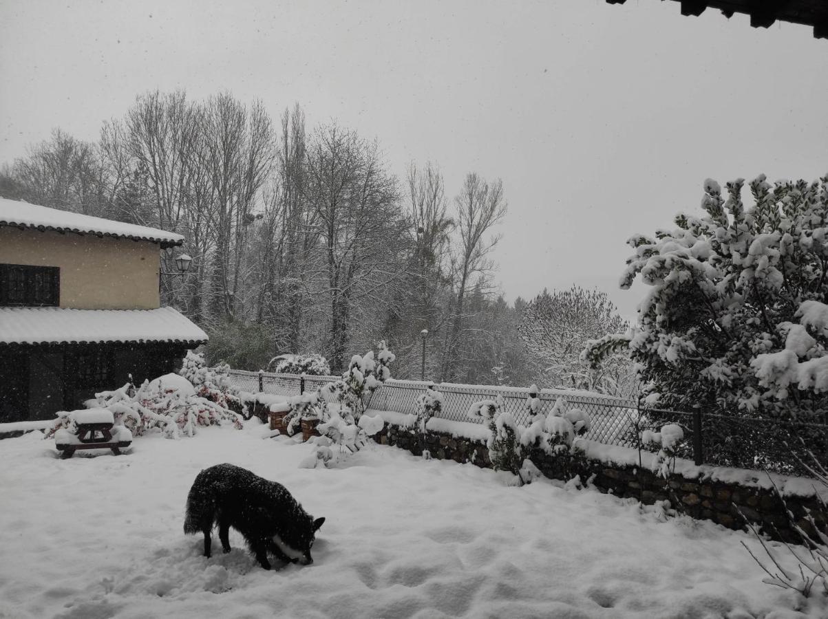 L'Oree Des Bois Courpiere Exterior photo