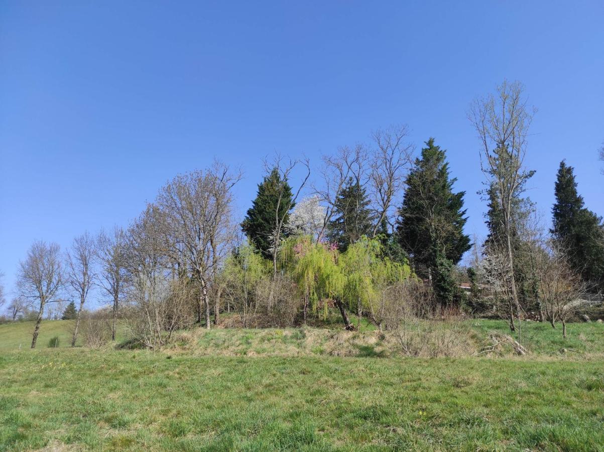 L'Oree Des Bois Courpiere Exterior photo